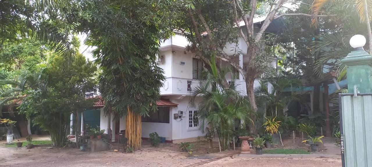 Shady Transit Hostel *
